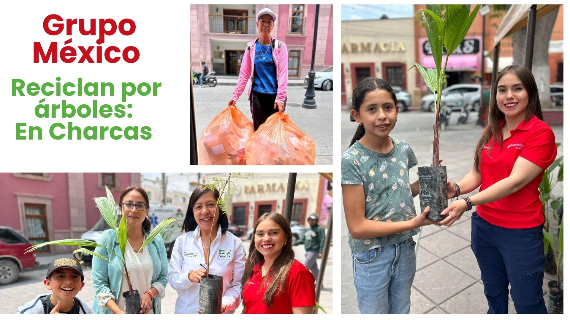 Reciclan por árboles: Charcas impulsa cultura ambiental con Grupo México