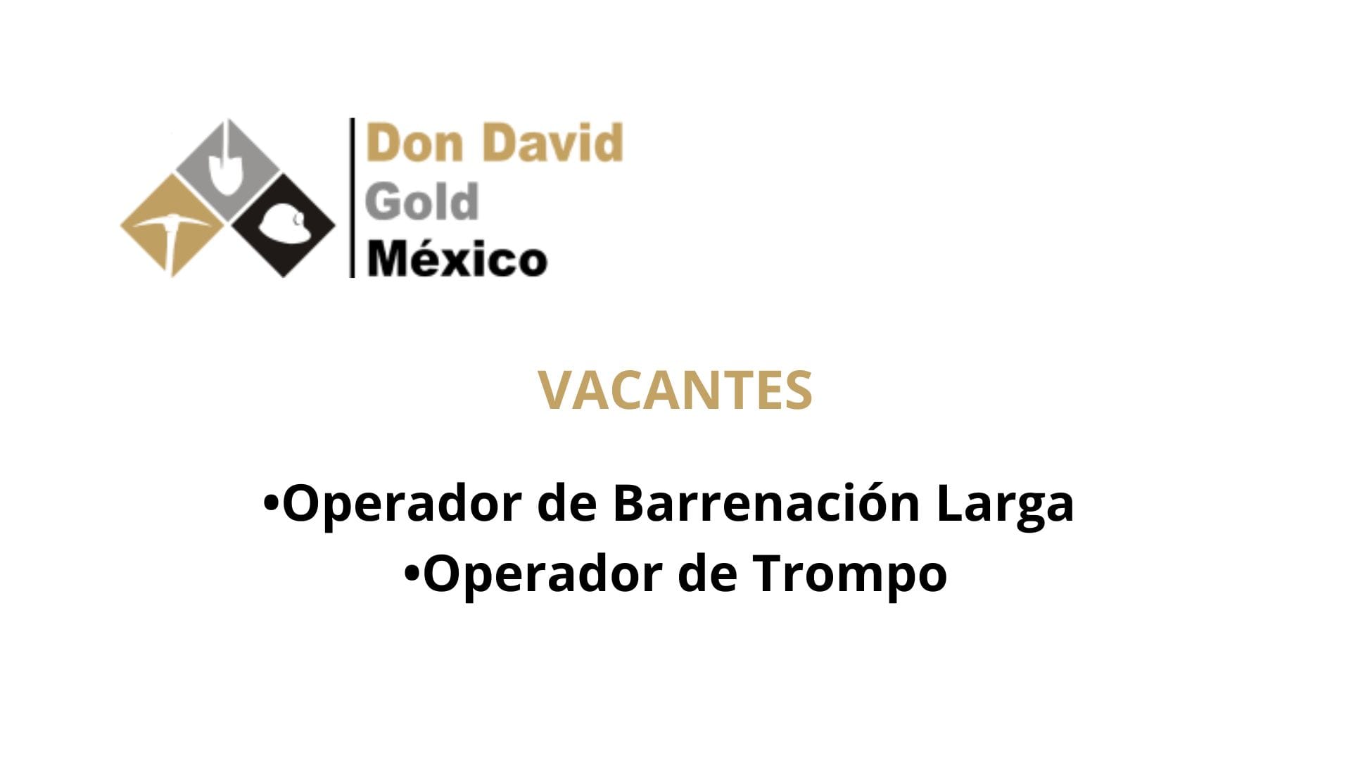 Oportunidad Laboral Don David Gold