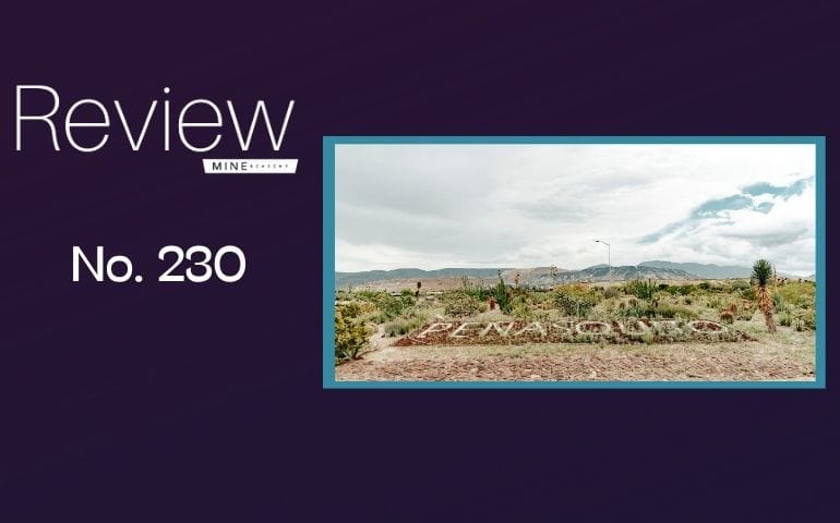 Review No.230