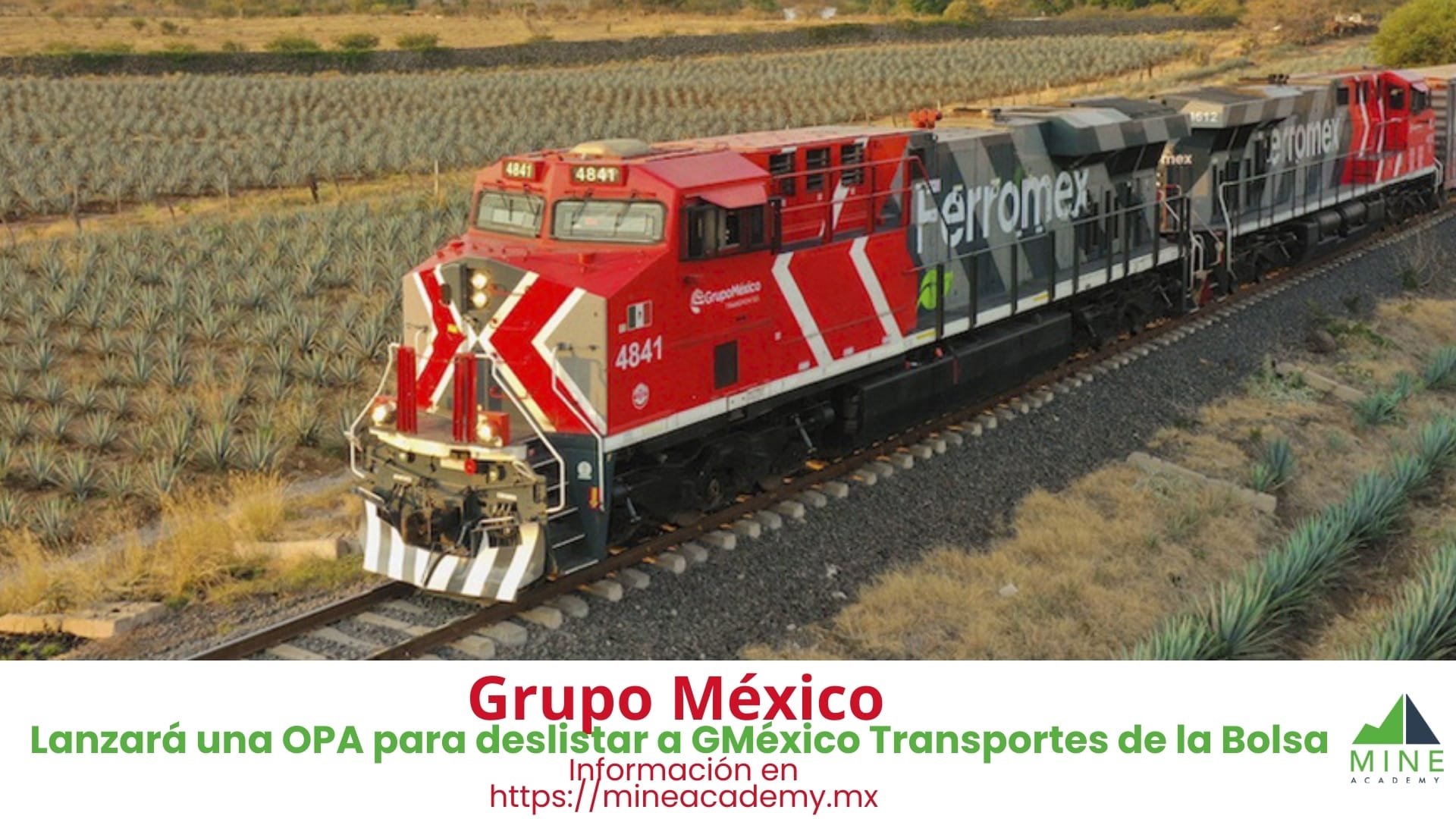 Grupo México lanzará una oferta pública para deslistar a GMéxico Transportes de la Bolsa