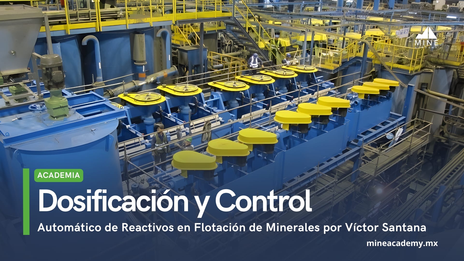 Dosificación y Control Automático de Reactivos en Flotación de Minerales