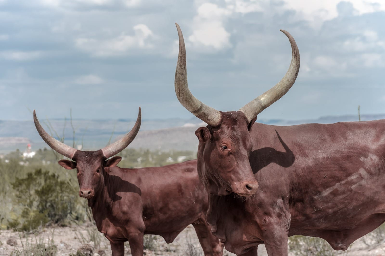 Peñoles fomenta la educación ambiental con reserva ecológica