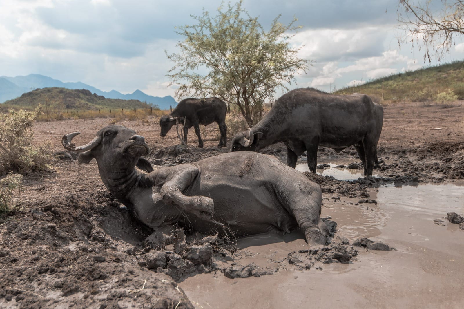 Peñoles fomenta la educación ambiental con reserva ecológica
