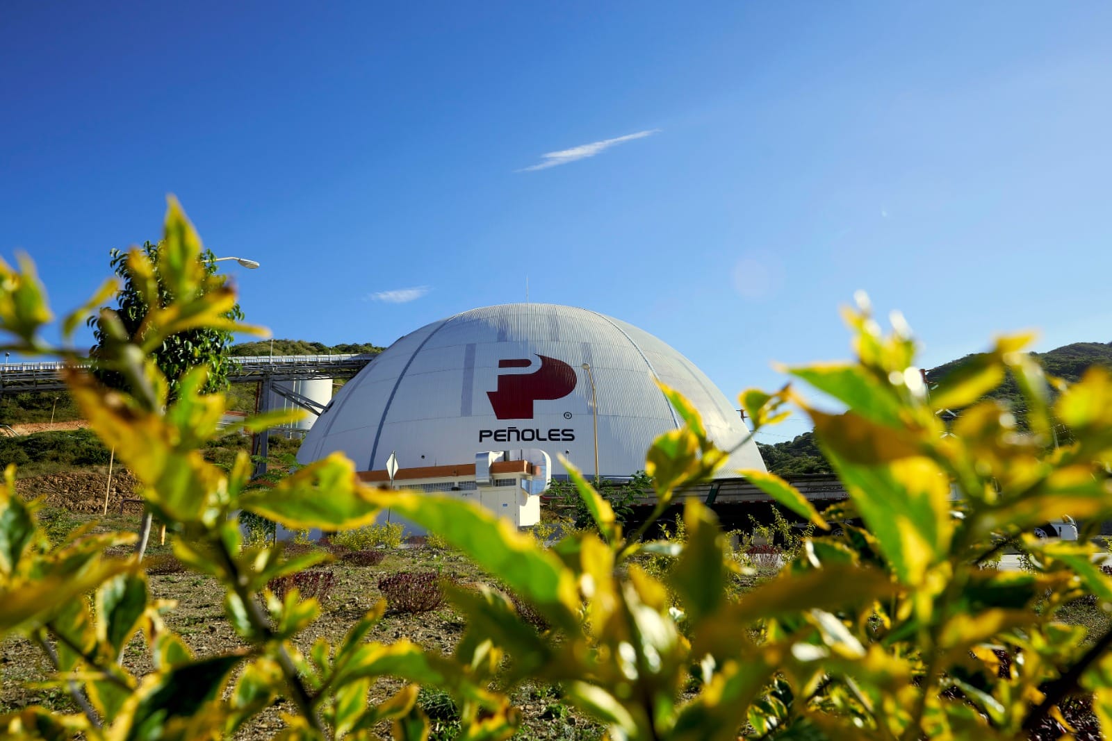 Integridad corporativa guía a Peñoles y su cadena de valor