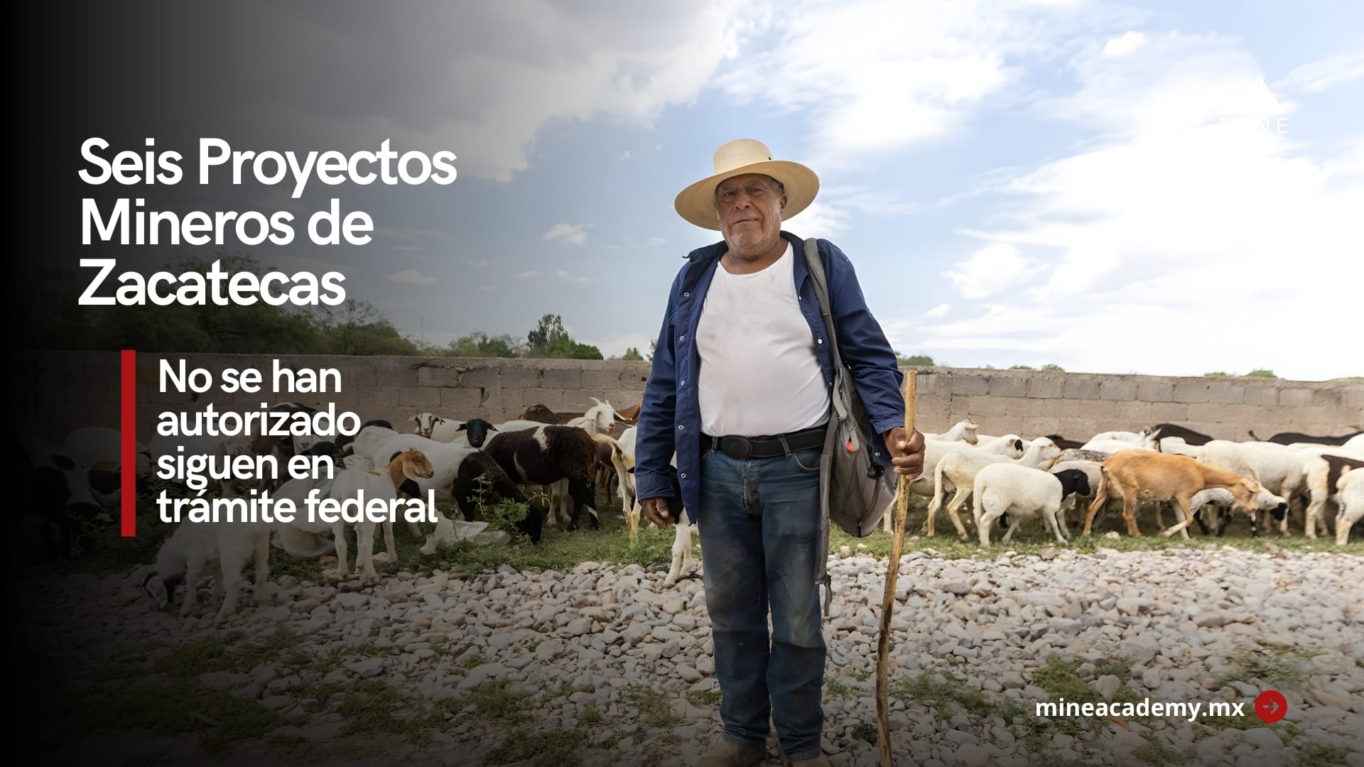 Aclara Zacatecas: los seis proyectos mineros siguen en trámite federal