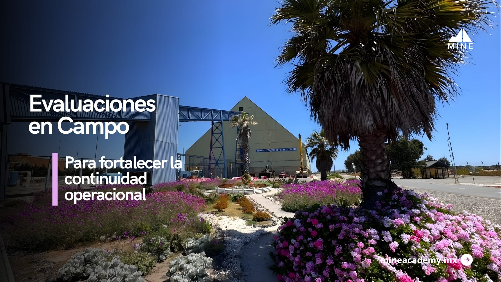 La evaluación en campo para fortalecer la continuidad operacional