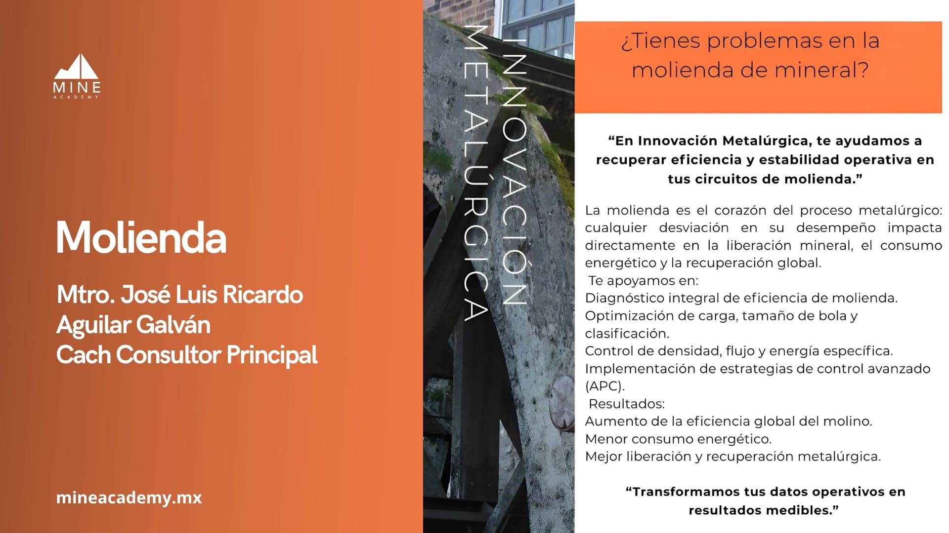 Transforma tu molienda en una ventaja competitiva