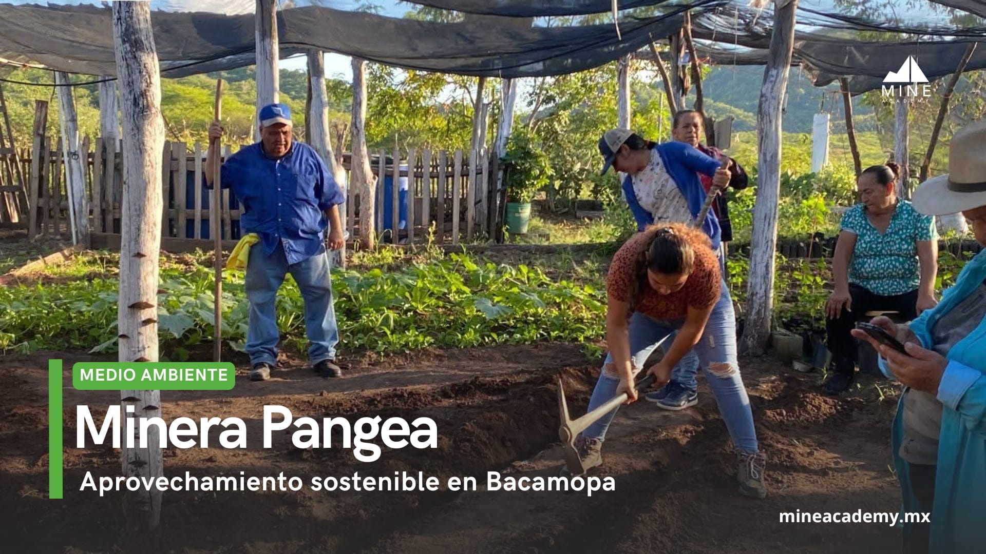 Minera Pangea y CONAFOR inician proyecto de aprovechamiento sostenible en Bacamopa