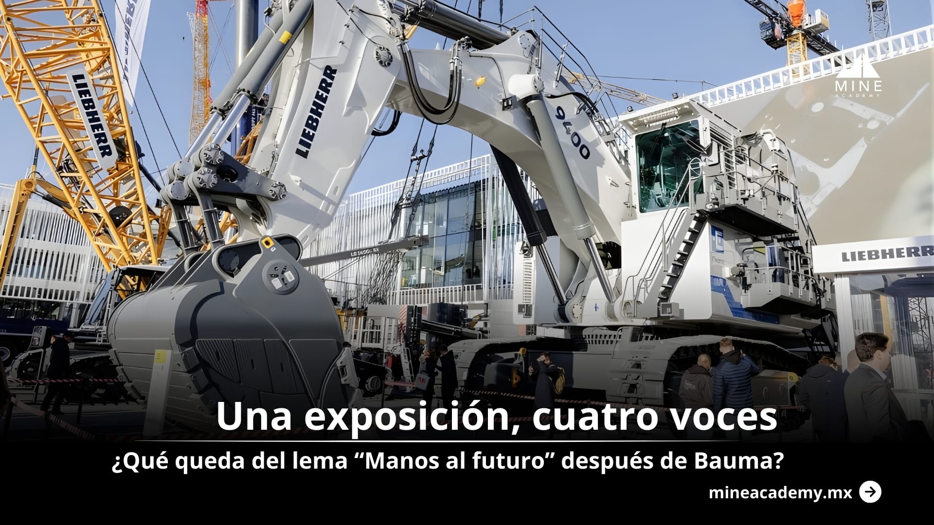 Una exposición, cuatro voces