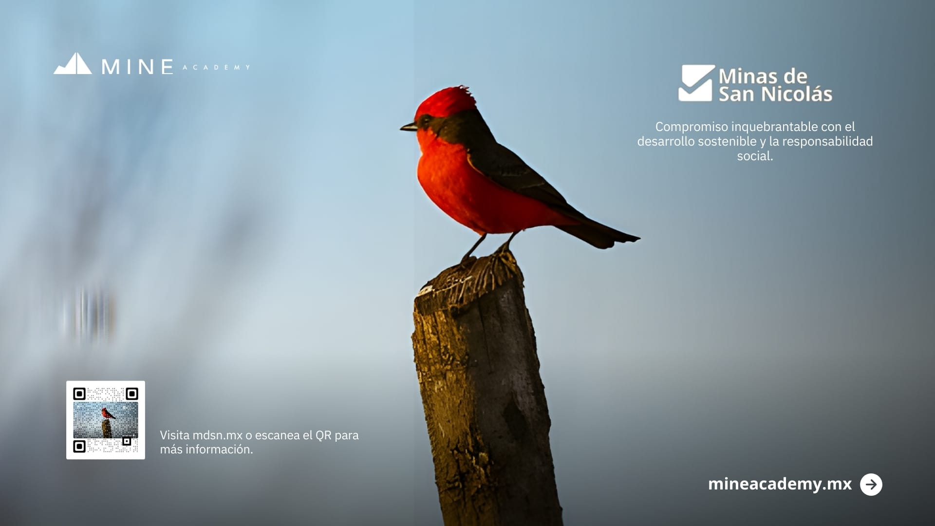 Minas de San Nicolás