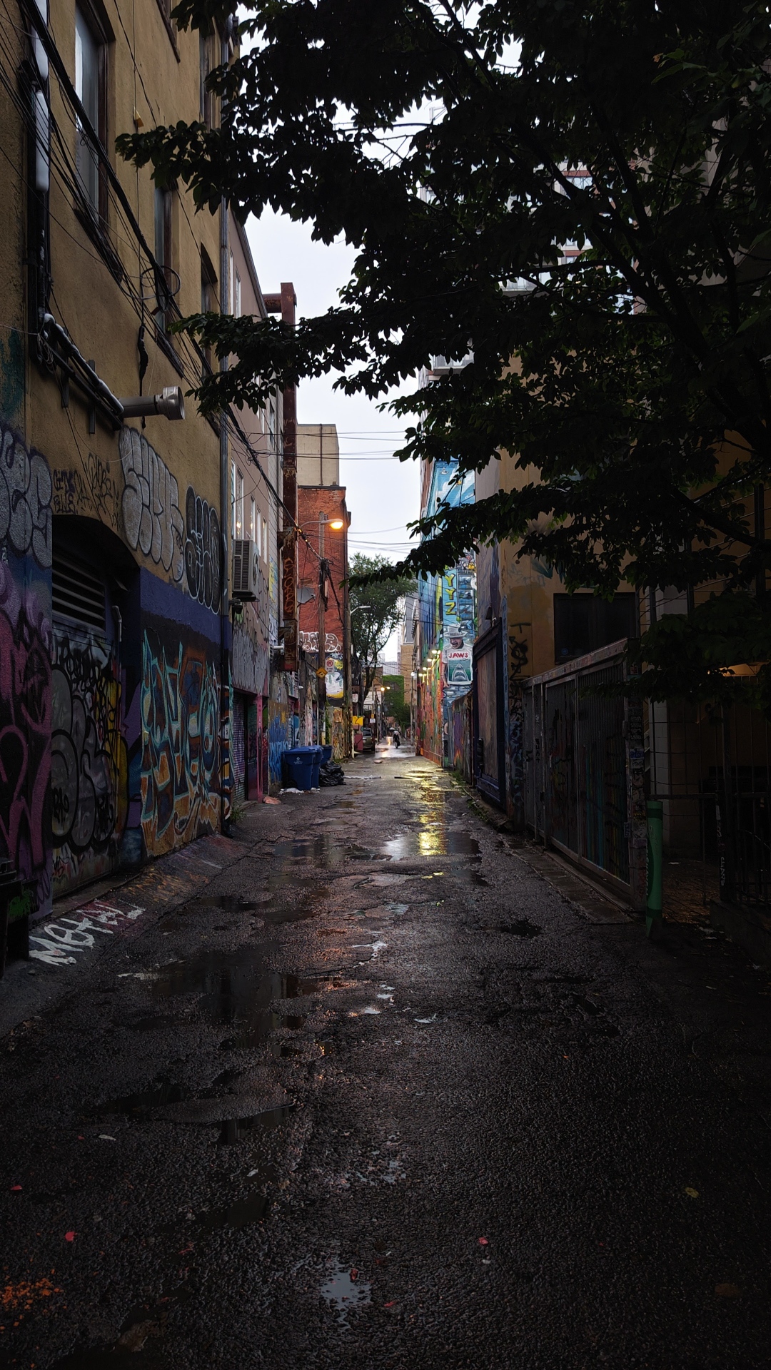 An photo down an alley in Toronto. There is a dark tree in the foreground. There is graffiti. It has rained and there are puddles and the pavement is wet. The sky is grey. A street lamp is on and creating light reflections in the puddles and wet pavement.