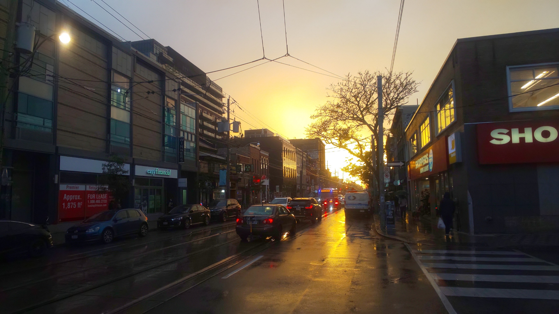A photo down queen street at sunset from the sidewalk. The sun is a big orange glow in the distance radiating golden glow narrowing down queen street. The street is wet and looks as if it was paved with gold.