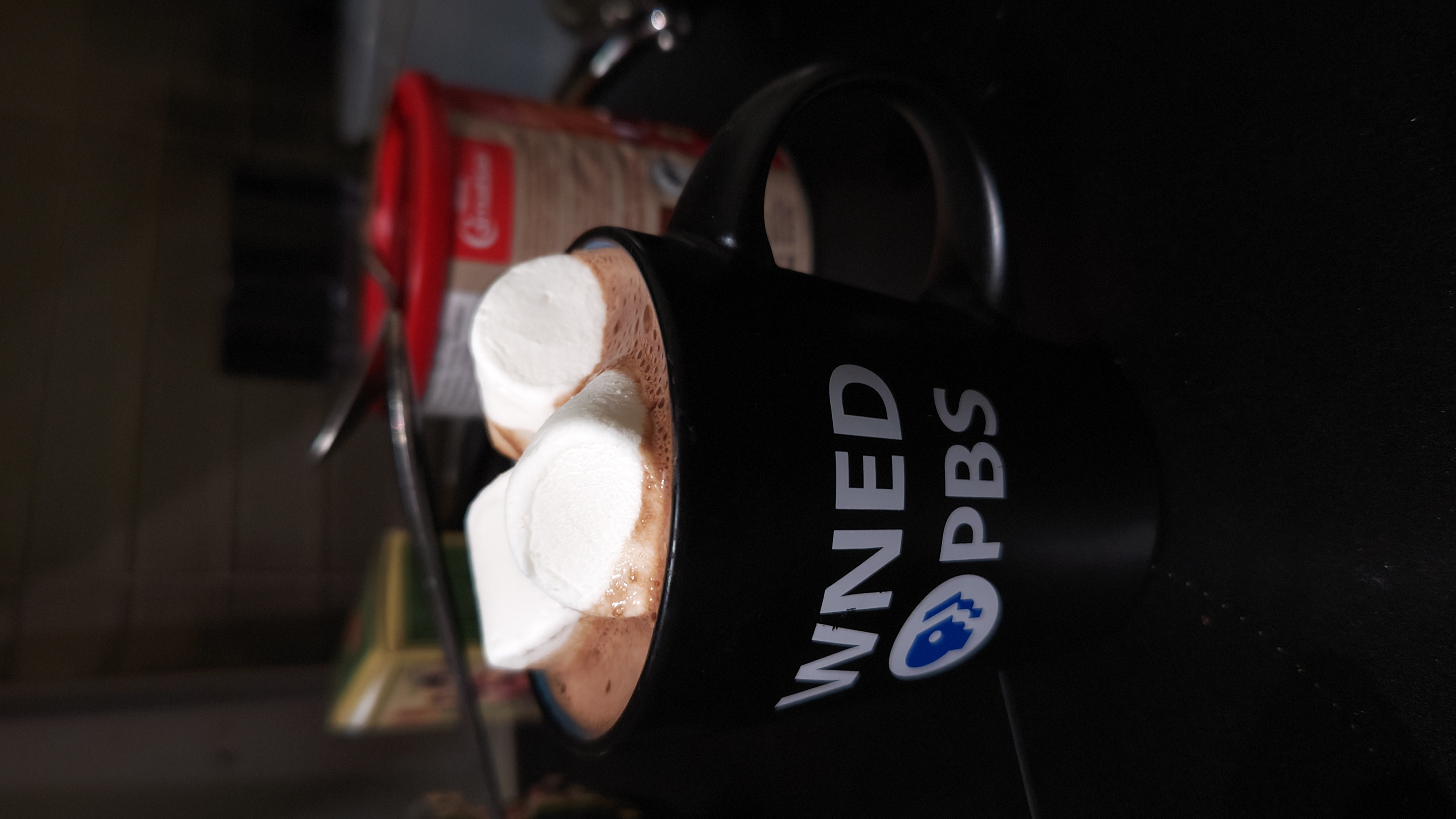 A mug of hot cocoa in a WNED PBS mug.
