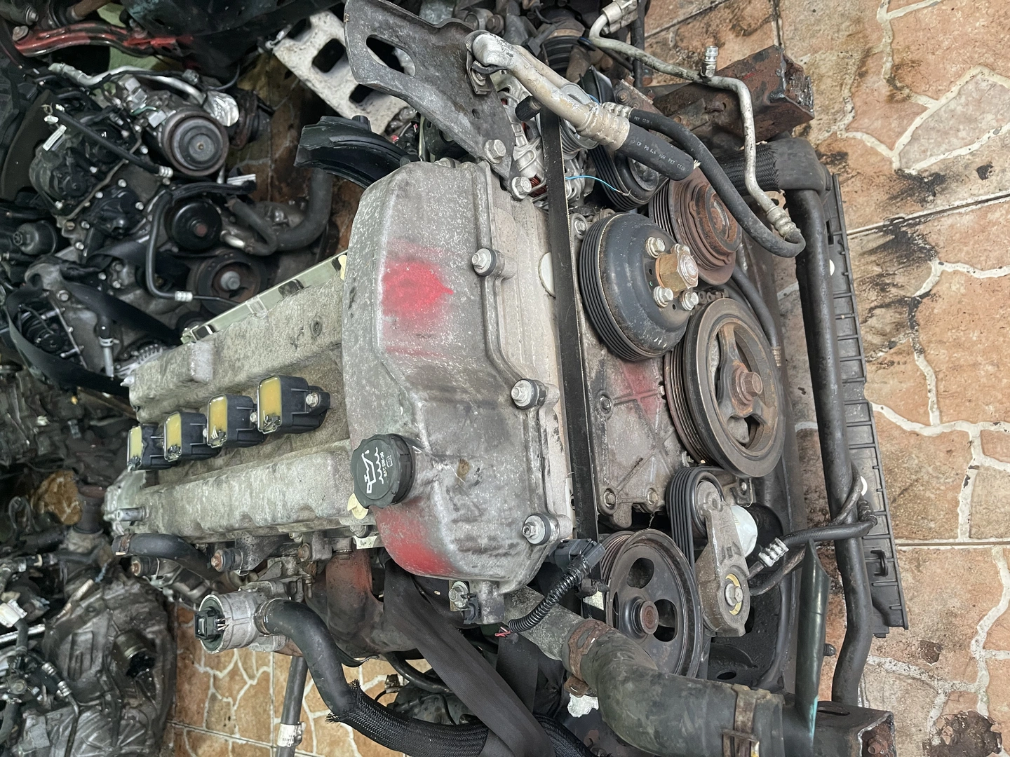 MOTOR