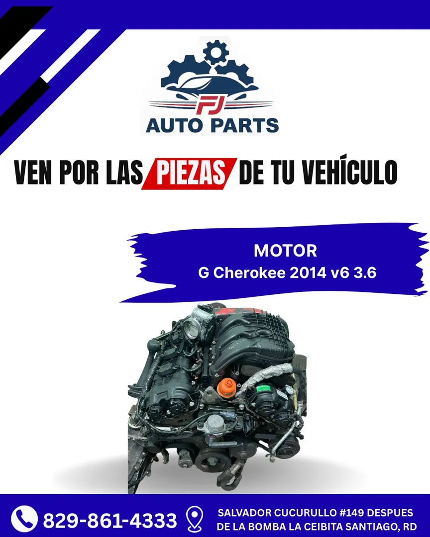 MOTOR