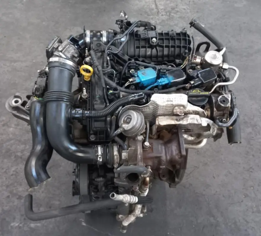 MOTOR