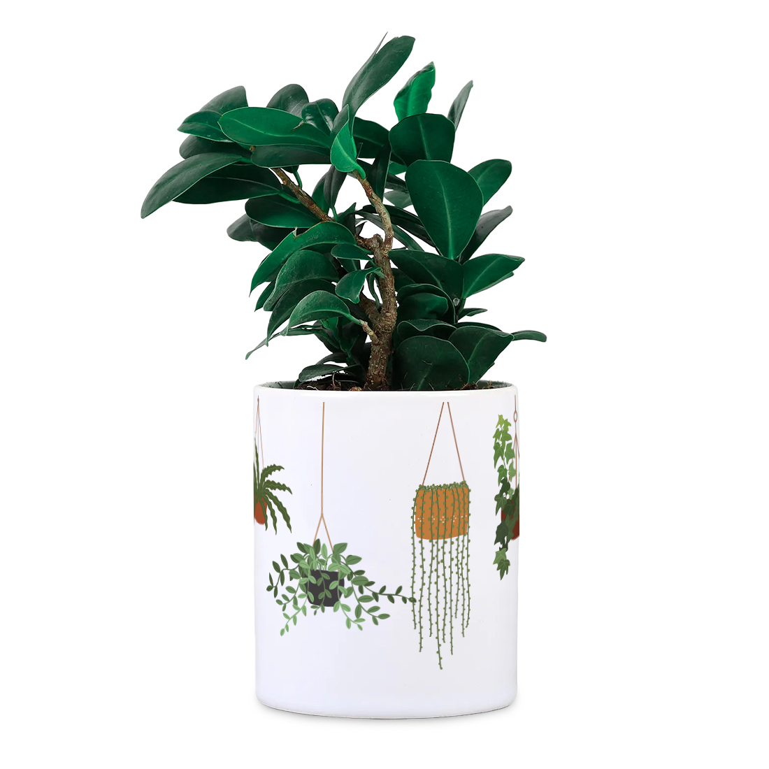 Hanging Plant Lightweight Desk Planter | Ceramic Pot | Sand Packet Included thumbnail 4