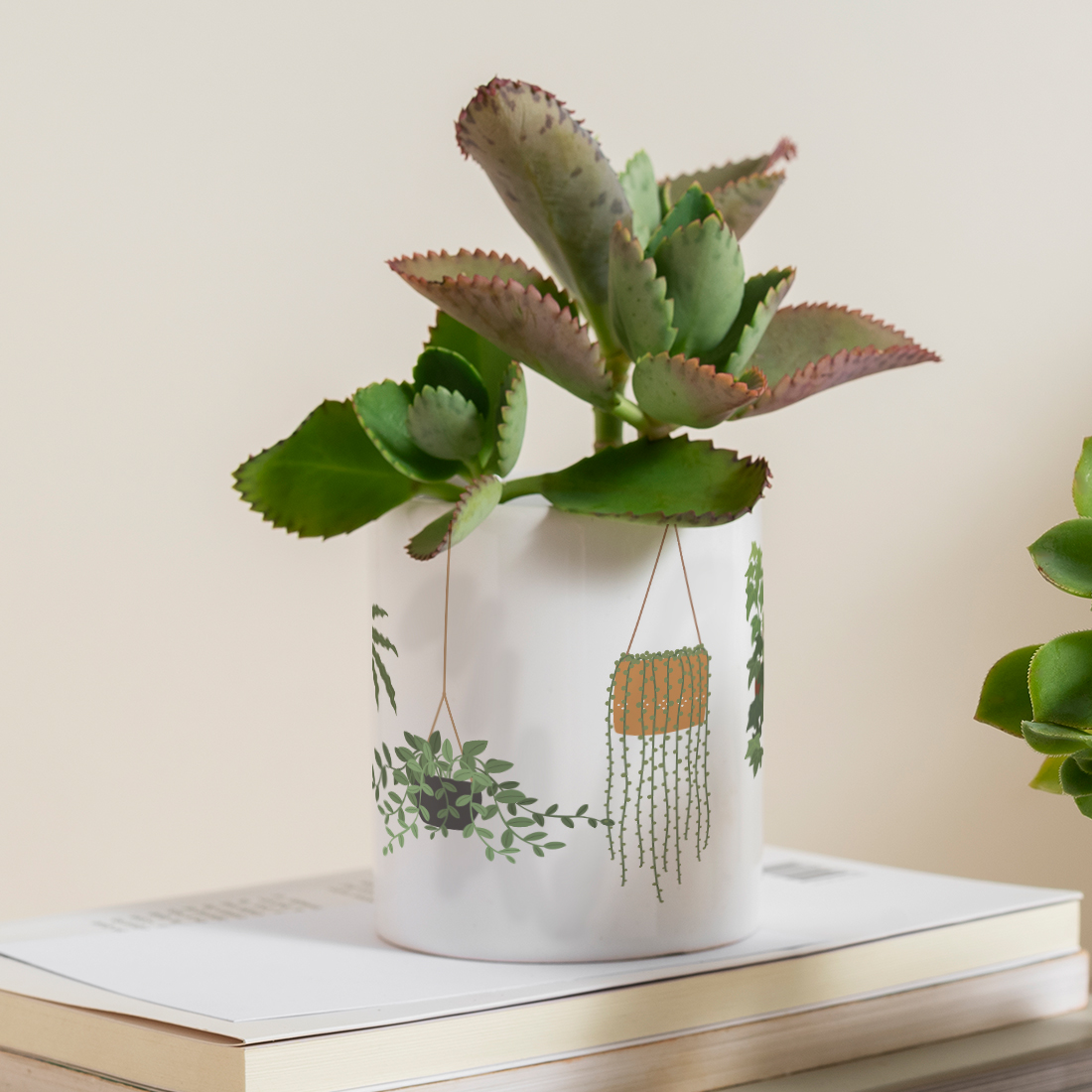 Hanging Plant Lightweight Desk Planter | Ceramic Pot | Sand Packet Included