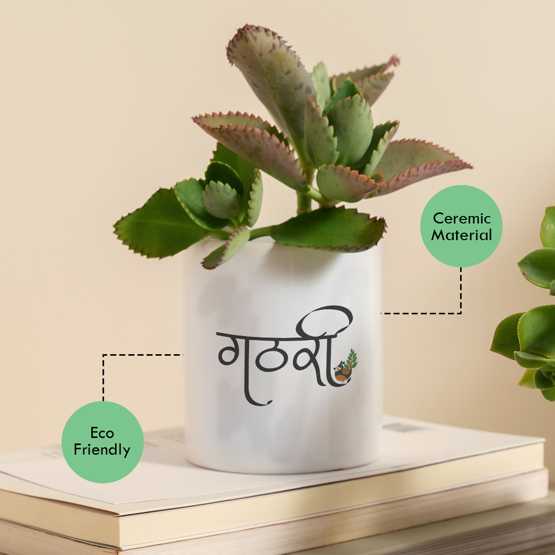 Hanging Plant Lightweight Desk Planter | Ceramic Pot | Sand Packet Included - alternate view