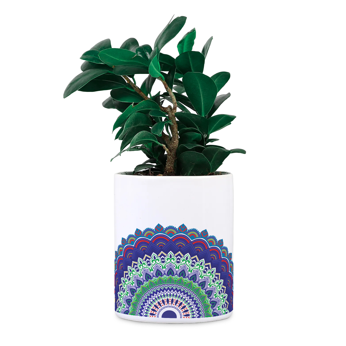 Mandala Desk Planter | Ceramic Pot | Sand Packet Included