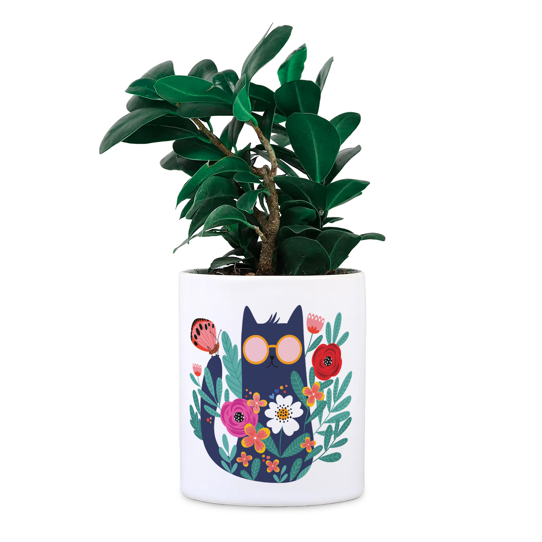 Cat Desk Planter | Ceramic Pot | Sand Packet Included thumbnail 2