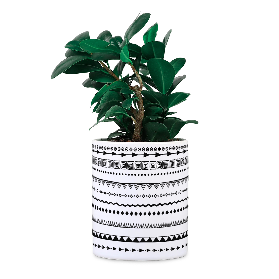 Strips Desk Planter | Ceramic Pot | Sand Packet Included - alternate view