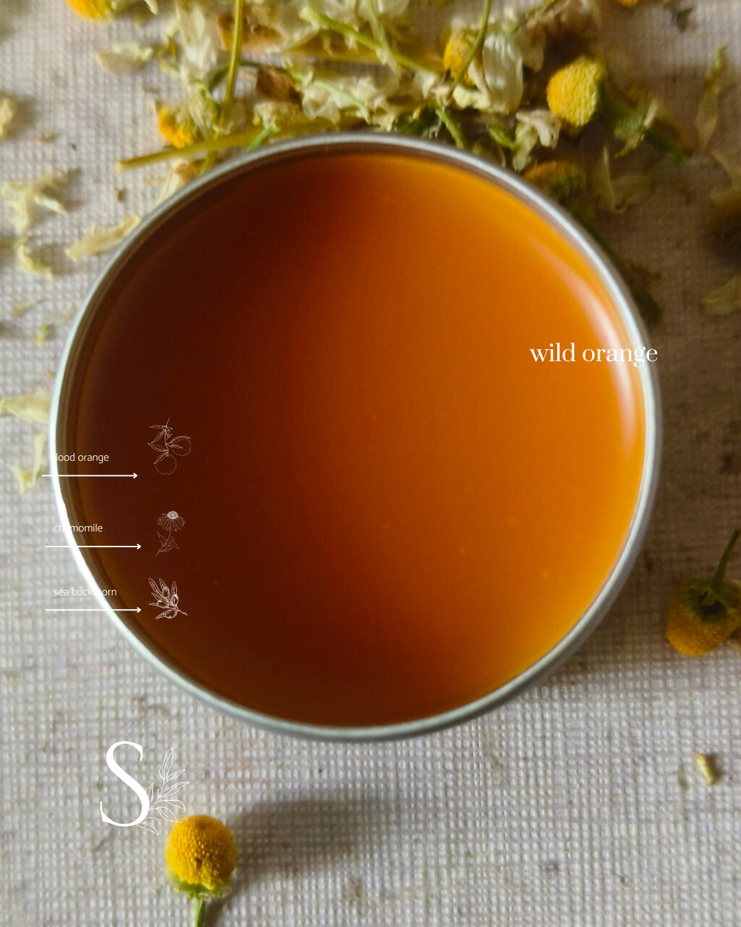 Wild Orange Lip Balm | Moisturising For Dry Lips | 10 gms thumbnail 3