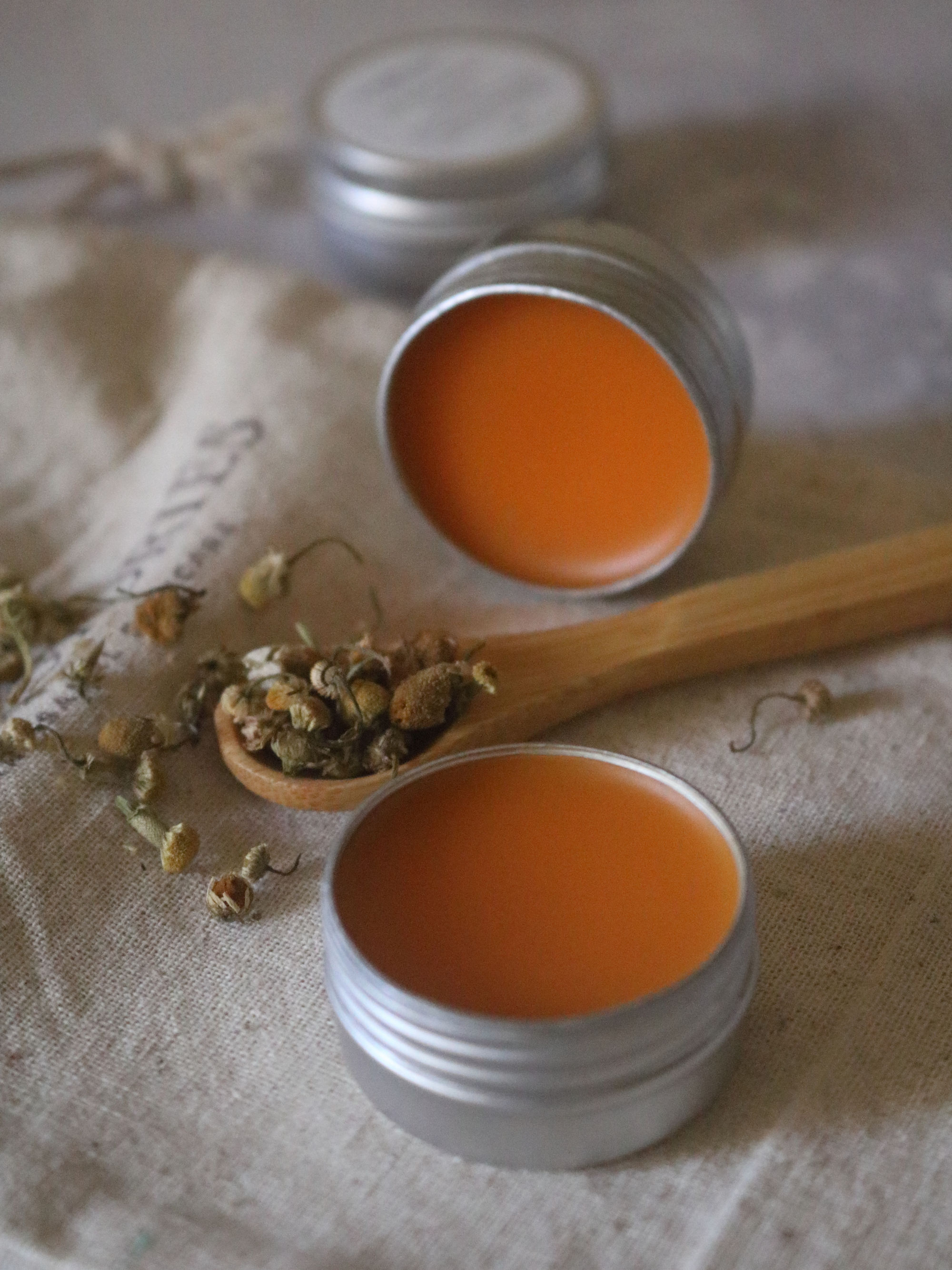Wild Orange Lip Balm | Moisturising For Dry Lips | 10 gms
