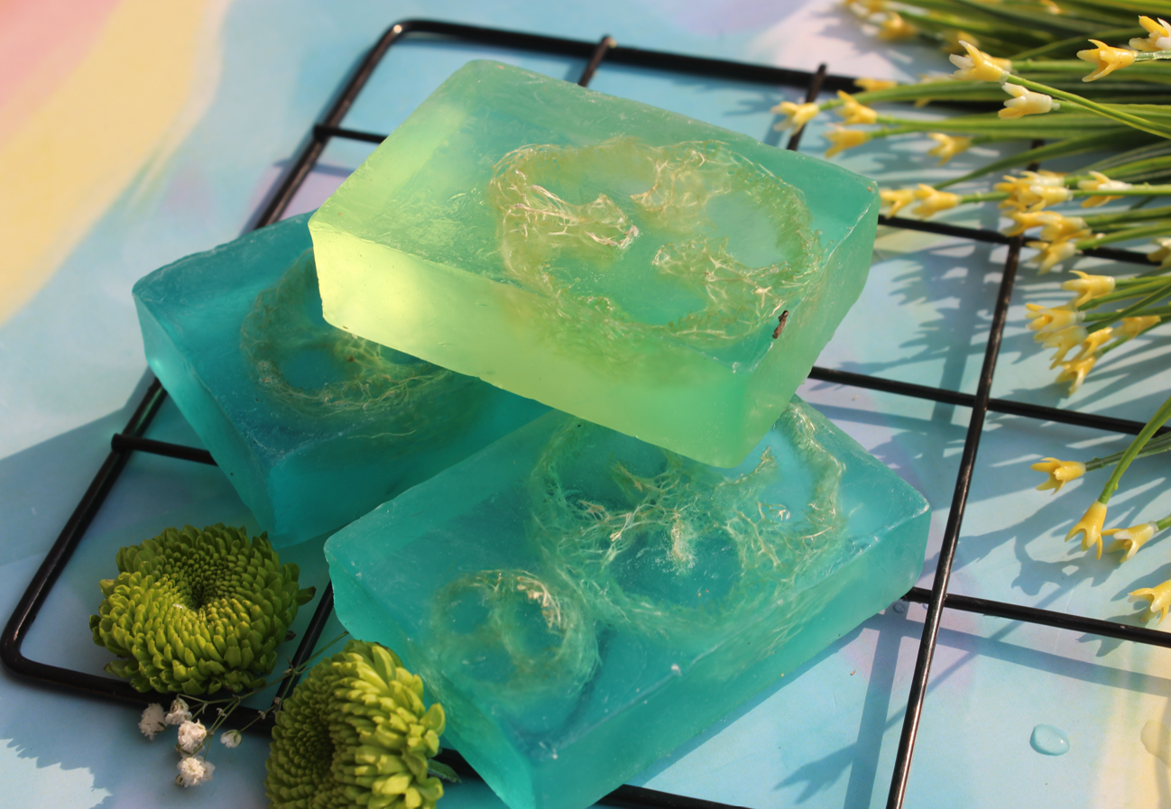 Loofah Love Soap - alternate view