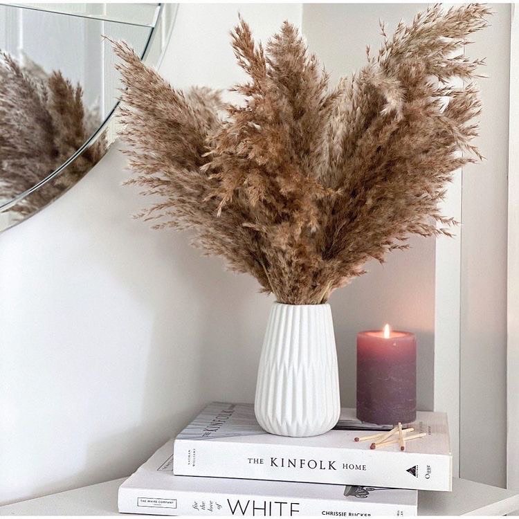 Brown Pampas XL Dried Flowers Bunch | Set of 5 Stems thumbnail 2