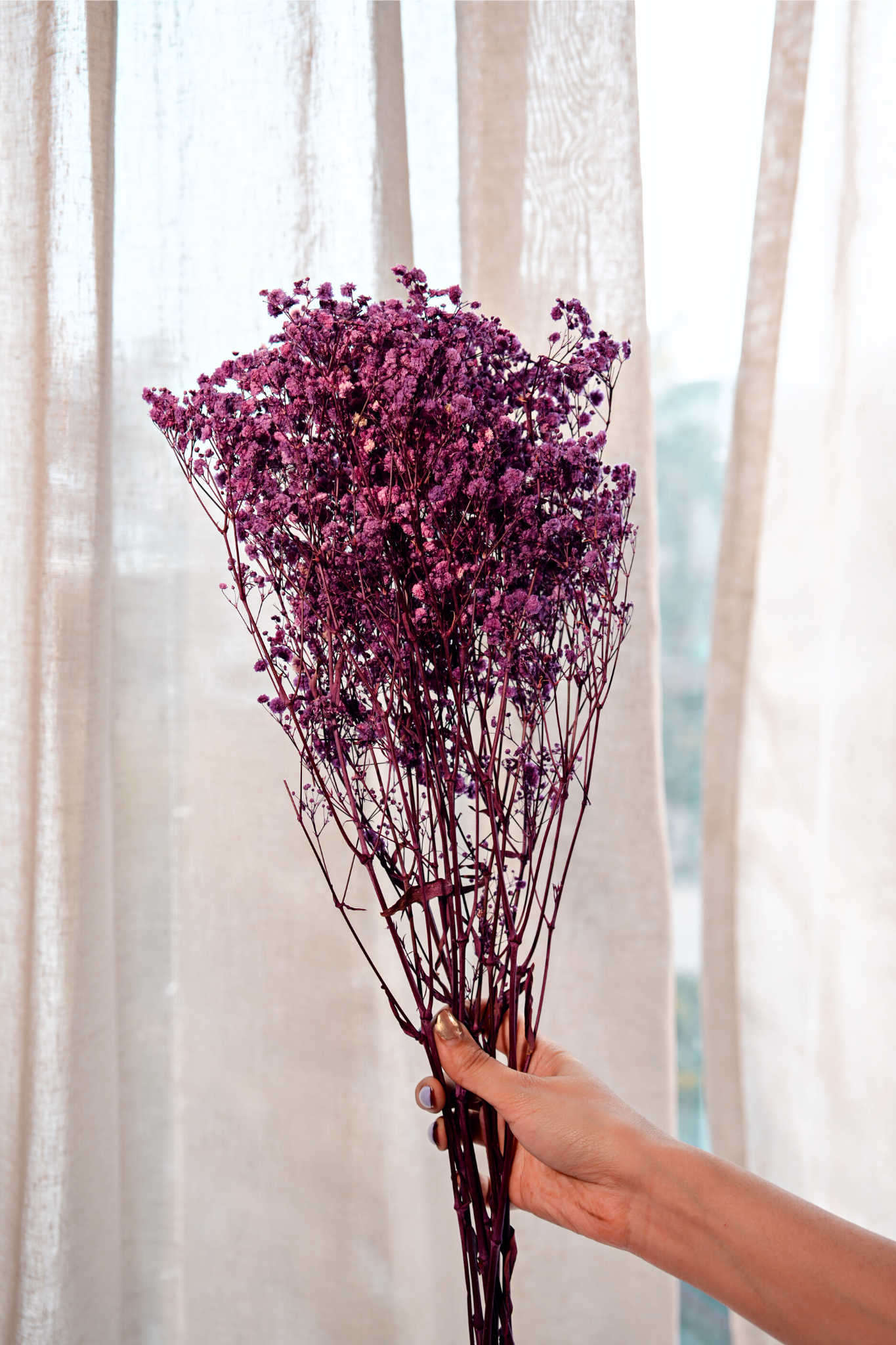 Baby Breaths Dried Flowers | 3-5 Stems | Artificial thumbnail 1