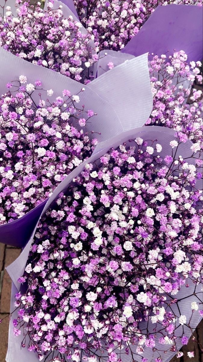 Baby Breaths Dried Flowers | 3-5 Stems | Artificial thumbnail 3