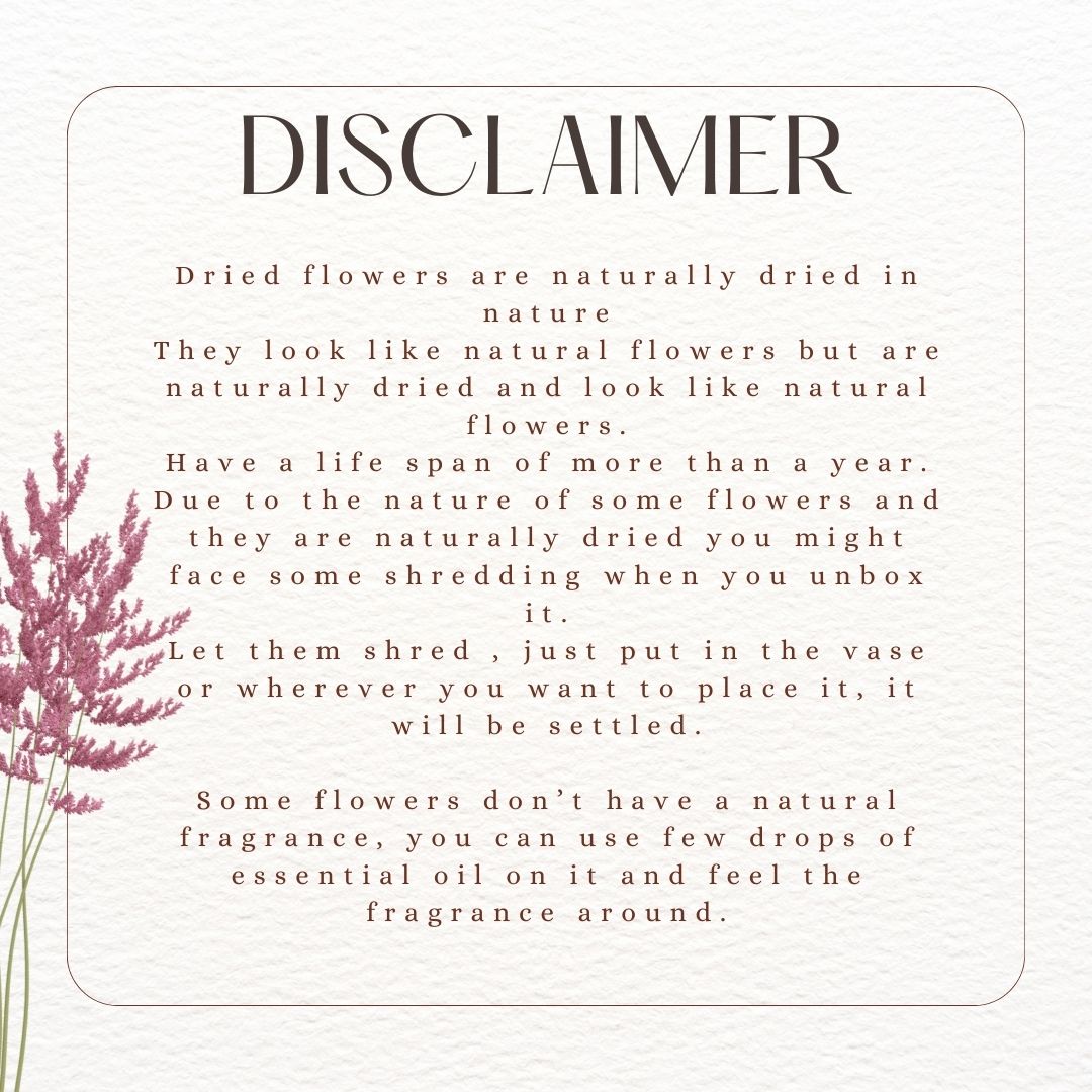 Baby Breaths Dried Flowers | 3-5 Stems | Artificial thumbnail 4