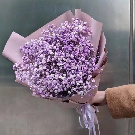Baby Breaths Dried Flowers | 3-5 Stems | Artificial thumbnail 2