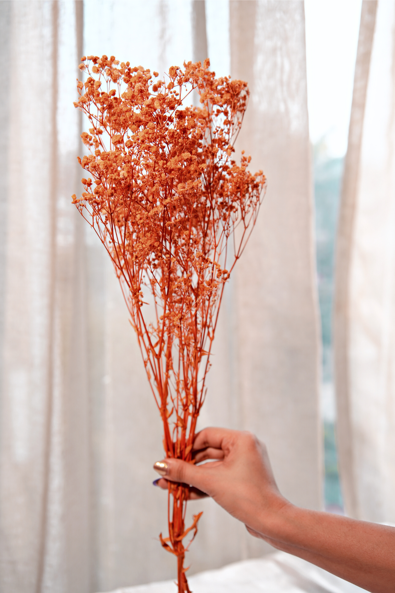 Baby's Breath | Dried Flower | Home Decor thumbnail 2