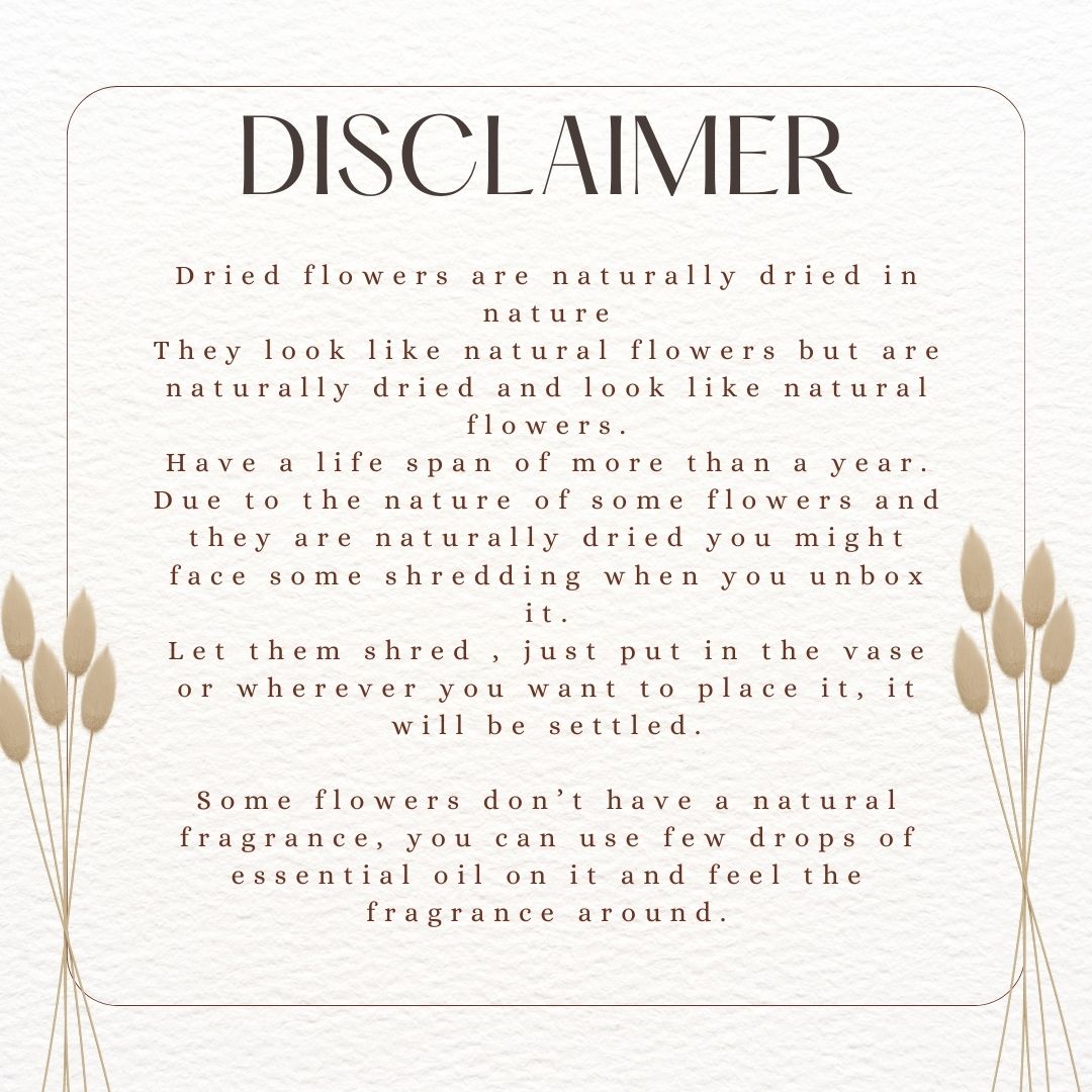 White Daises | Dried Flowers | 30 Stems | Artificial thumbnail 3