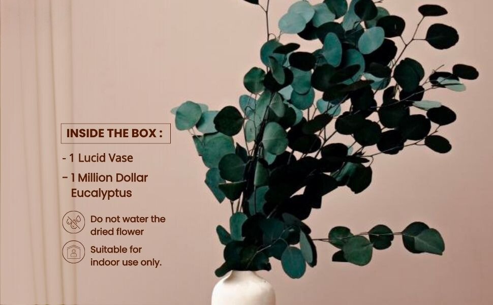 White Long Vase with Million Dollar Eucalyptus | Dried Flowers | Home Decor thumbnail 3