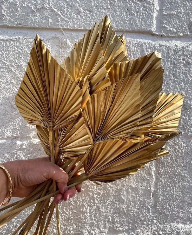 Golden Palm Dried Leaves | Artificial | Set of 5