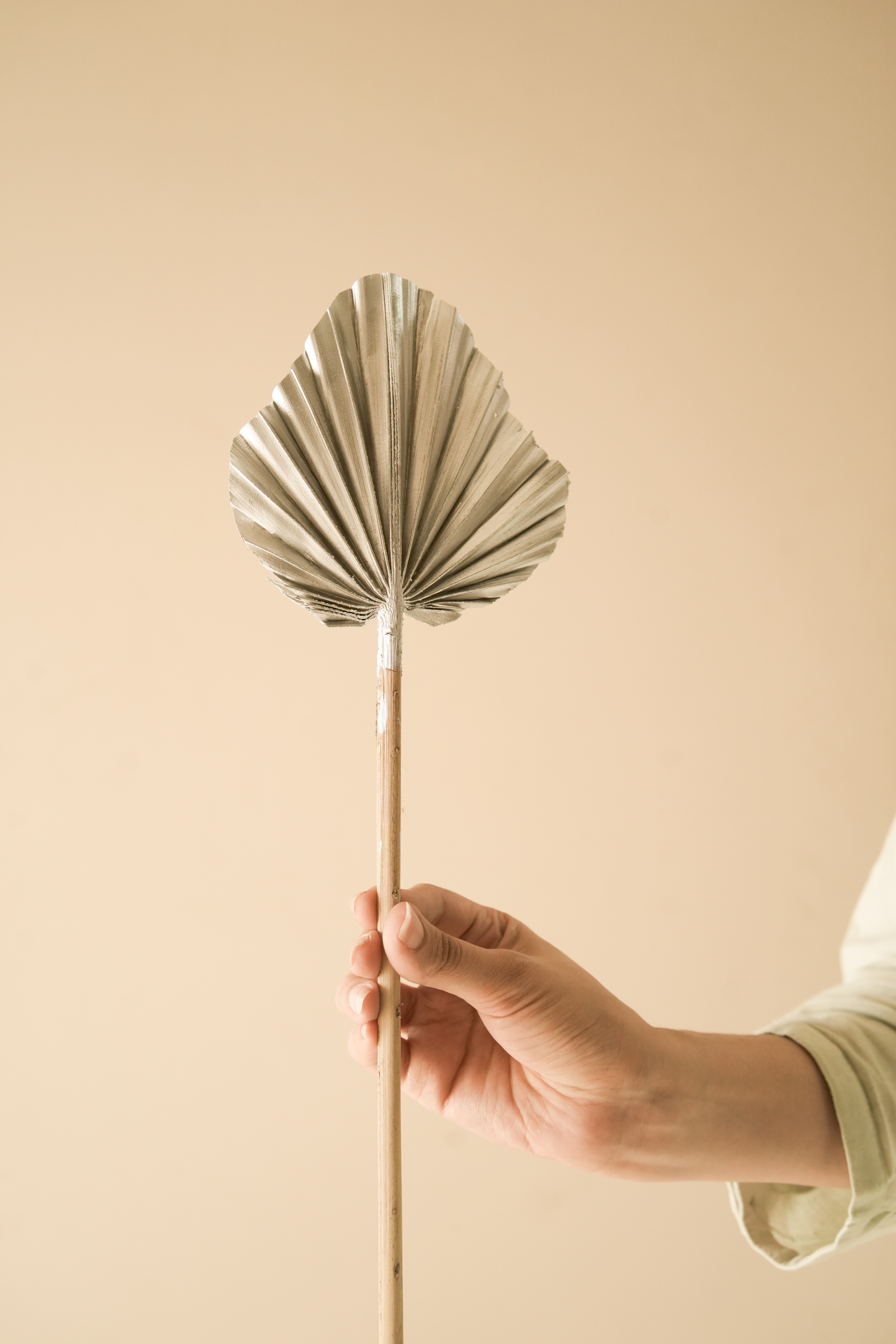 Artificial Silver Palm Leaves | Set of 5 thumbnail 3