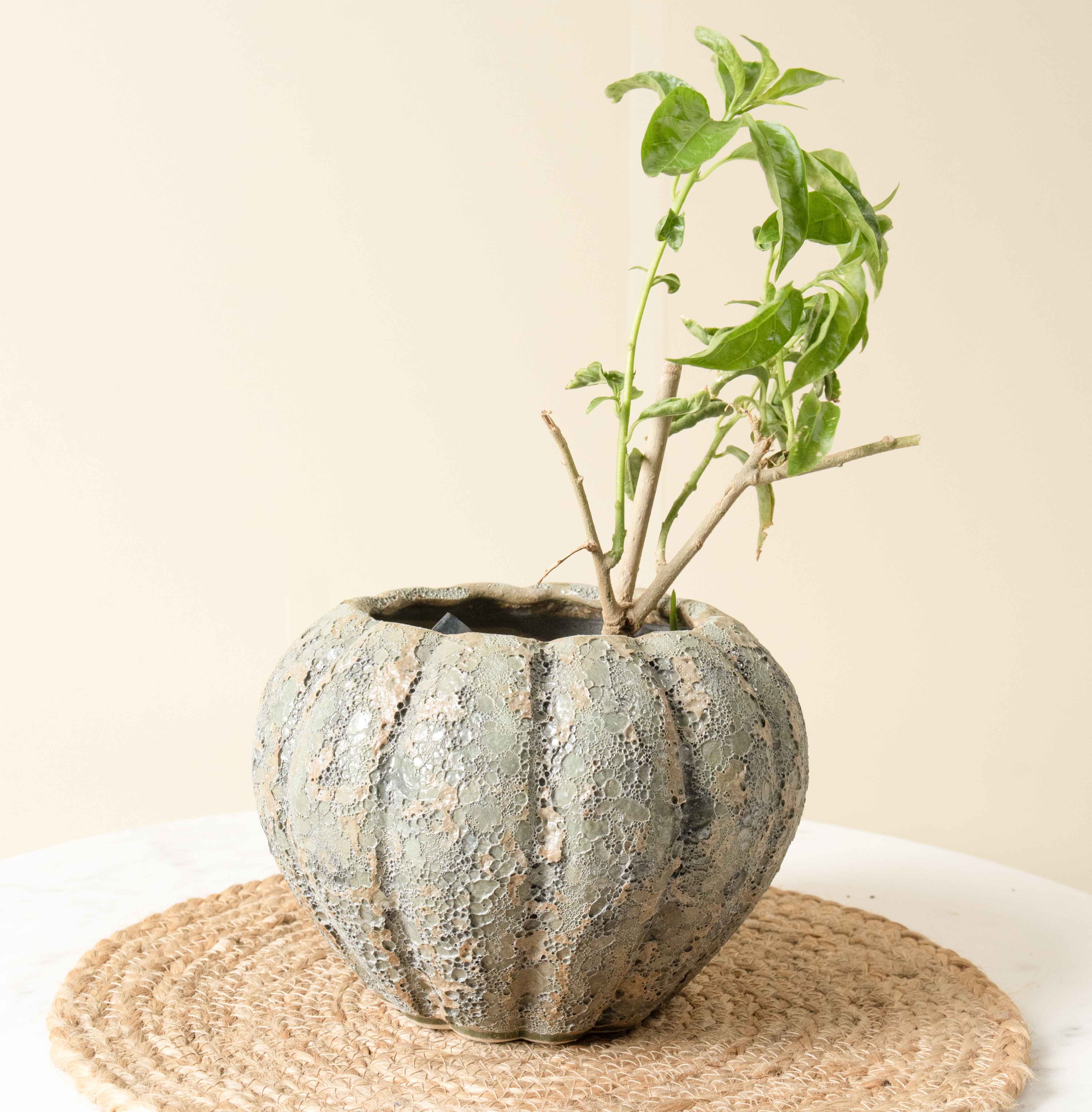 Antique Pumpkin Planter | Intricate Detailing