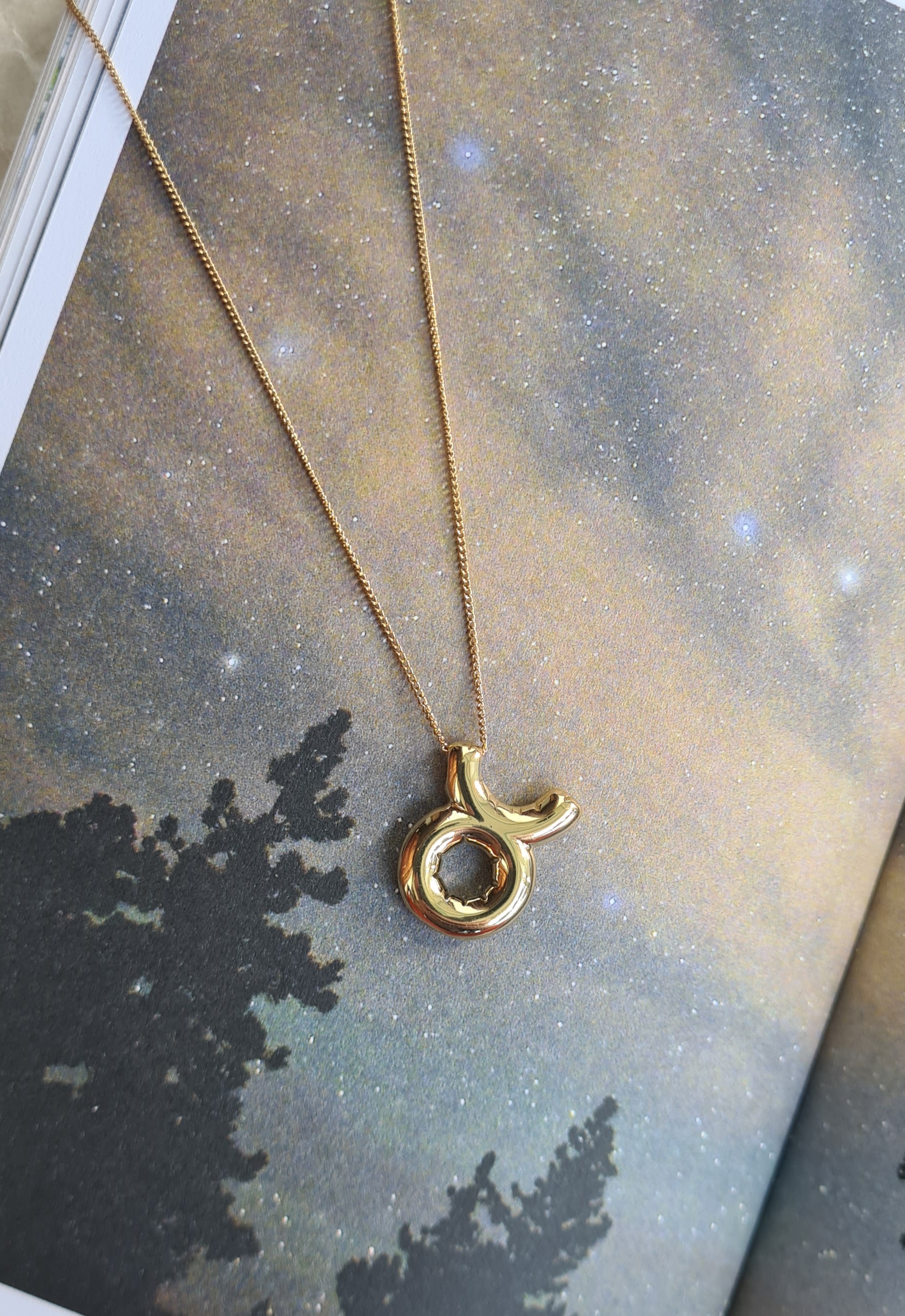 Zodiac Necklace | 18k Gold Plated thumbnail 1