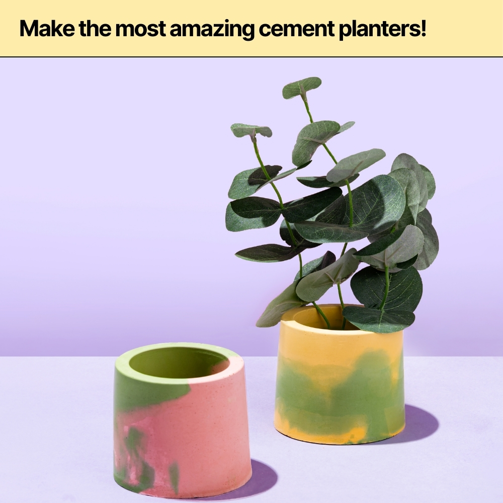 DIY Cement Planter Kit thumbnail 3