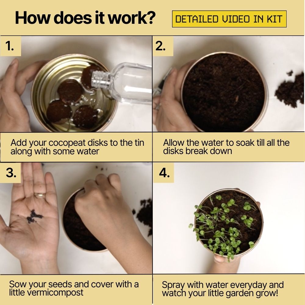 Grow in a Can Plant Kit  thumbnail 4