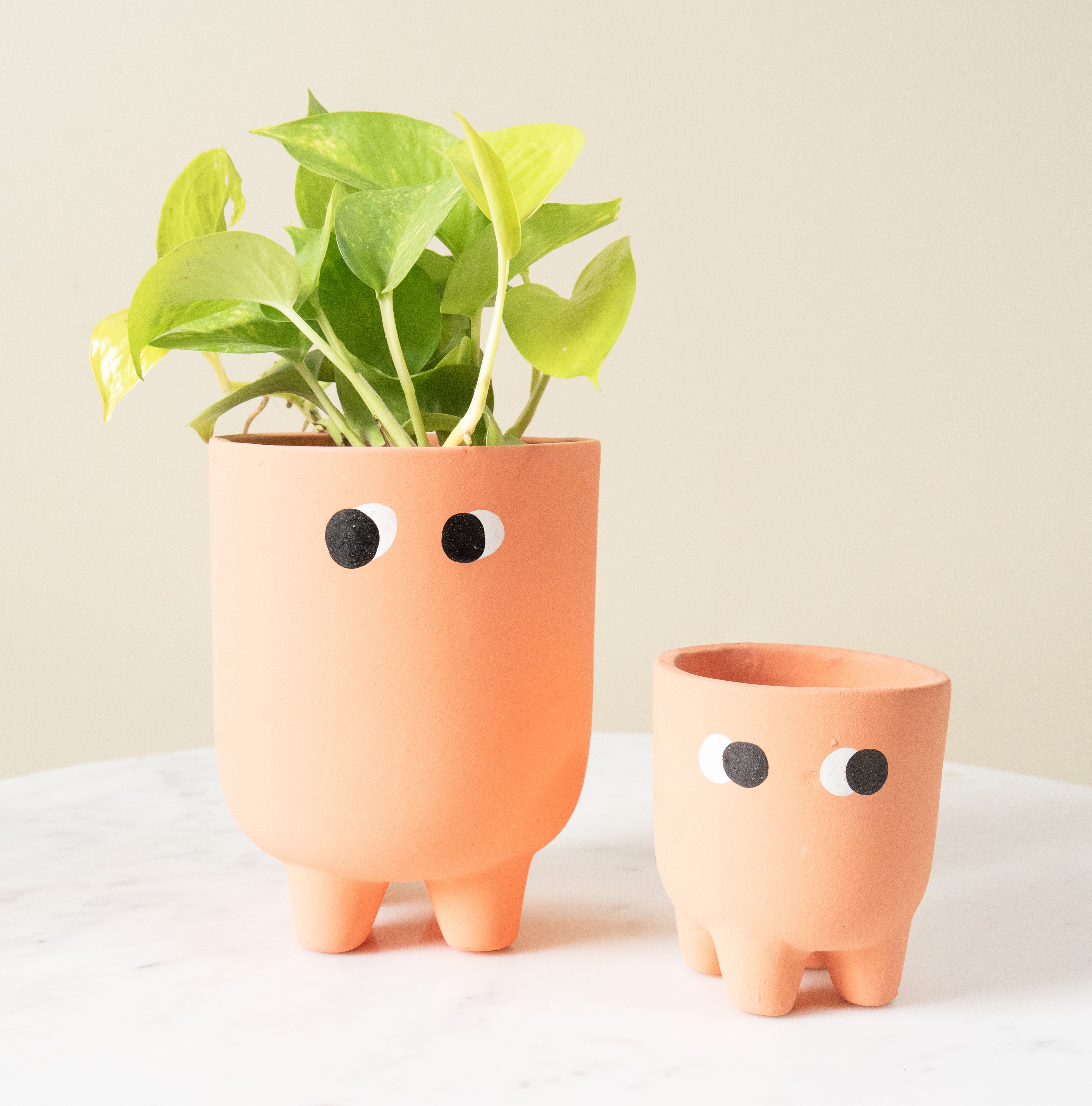 Pookie Face Planter Pot Sets | Set of 2 | Pinterest Finds