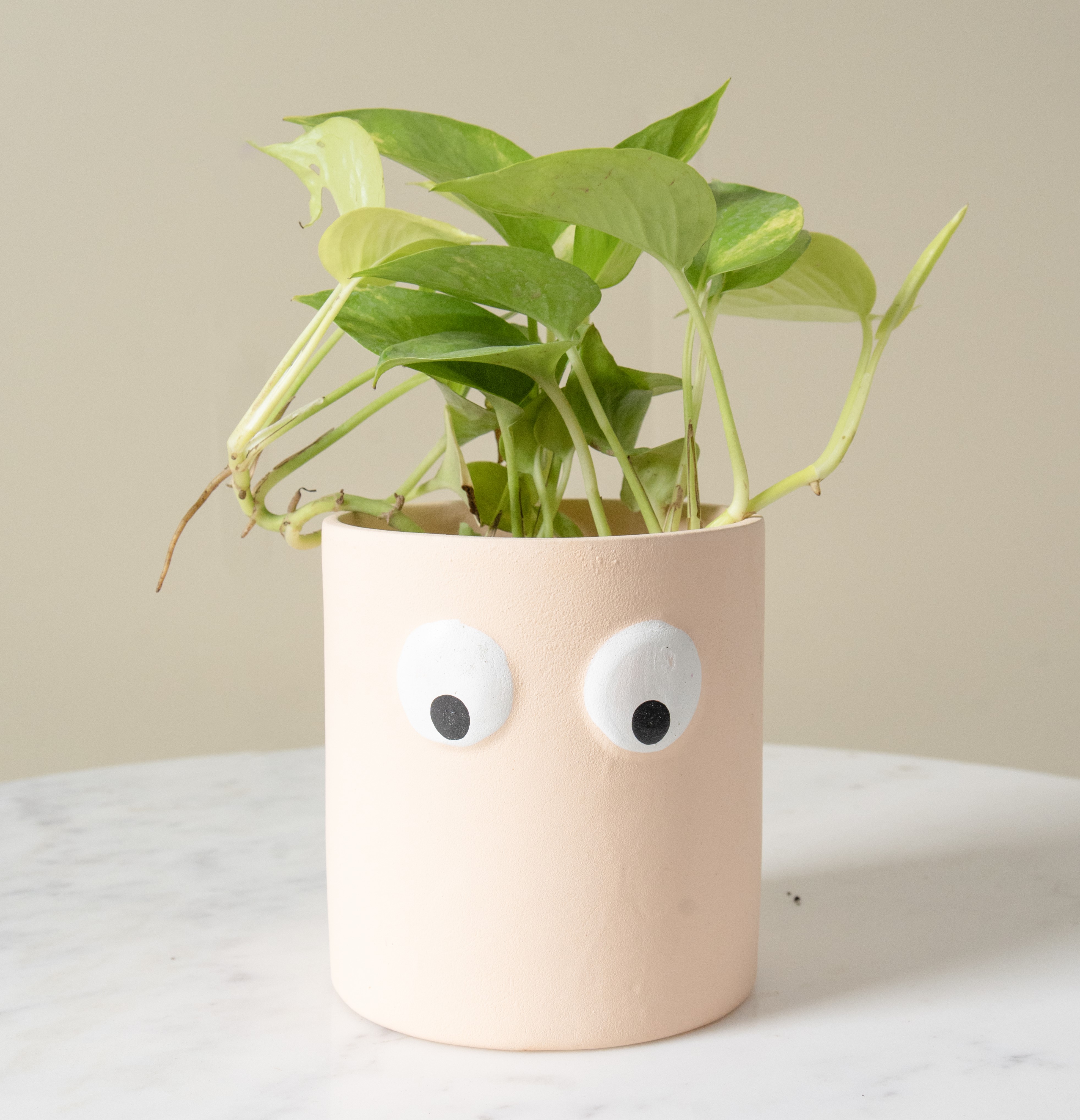 Pinterest Peekaboo Planter