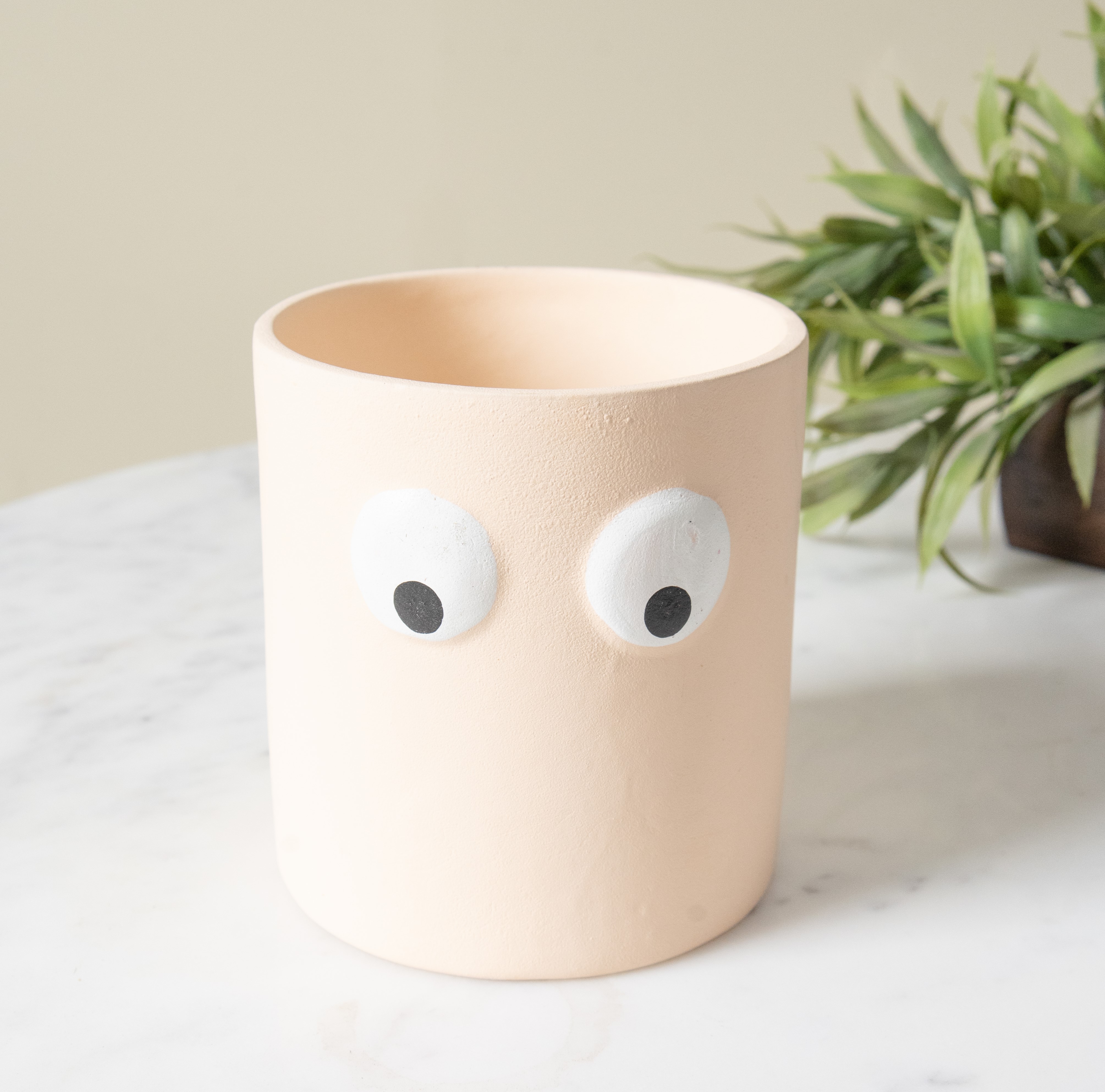 Pinterest Peekaboo Planter - alternate view