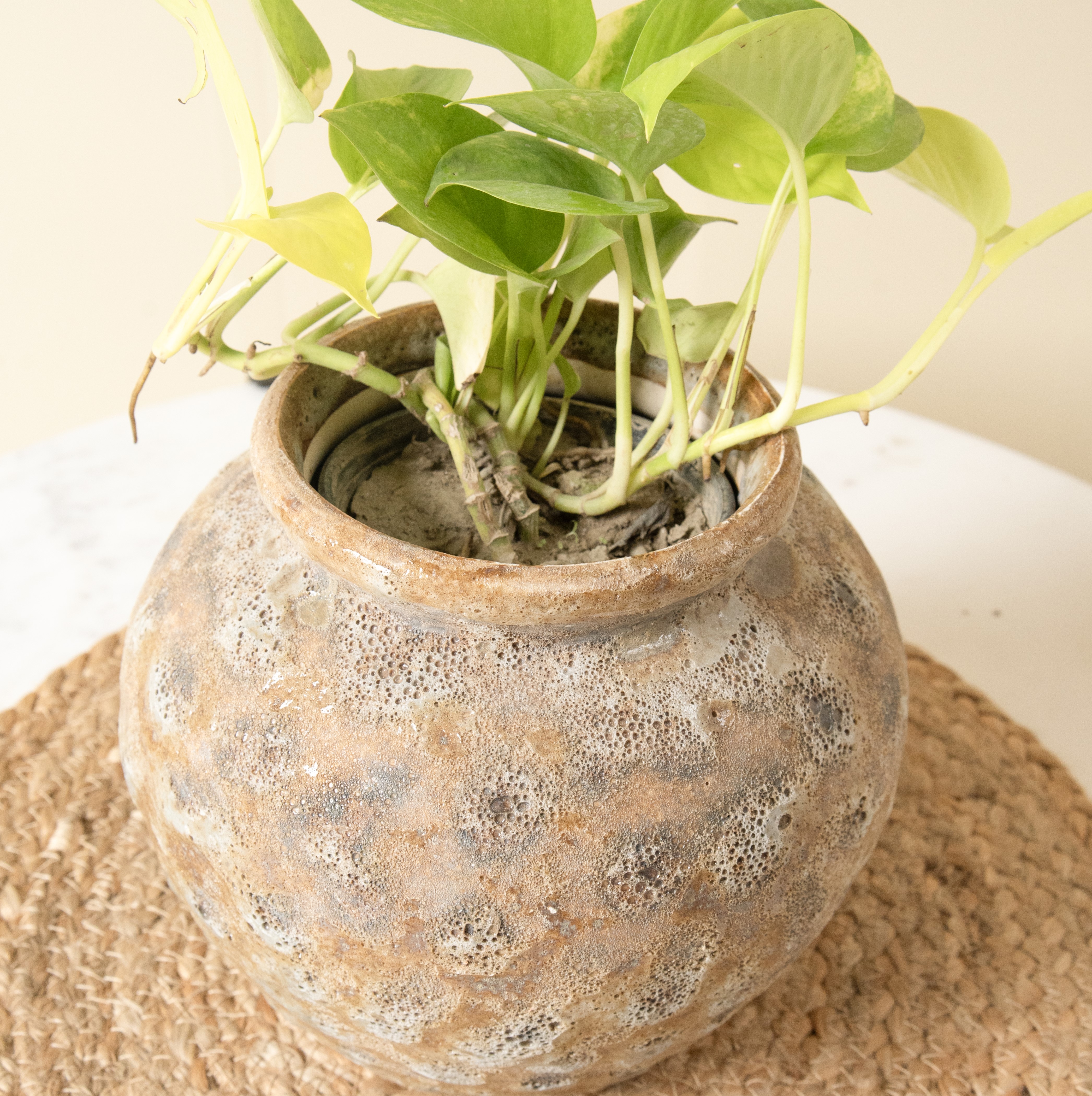 Heritage Vintage Planter | Rustic Textured thumbnail 4