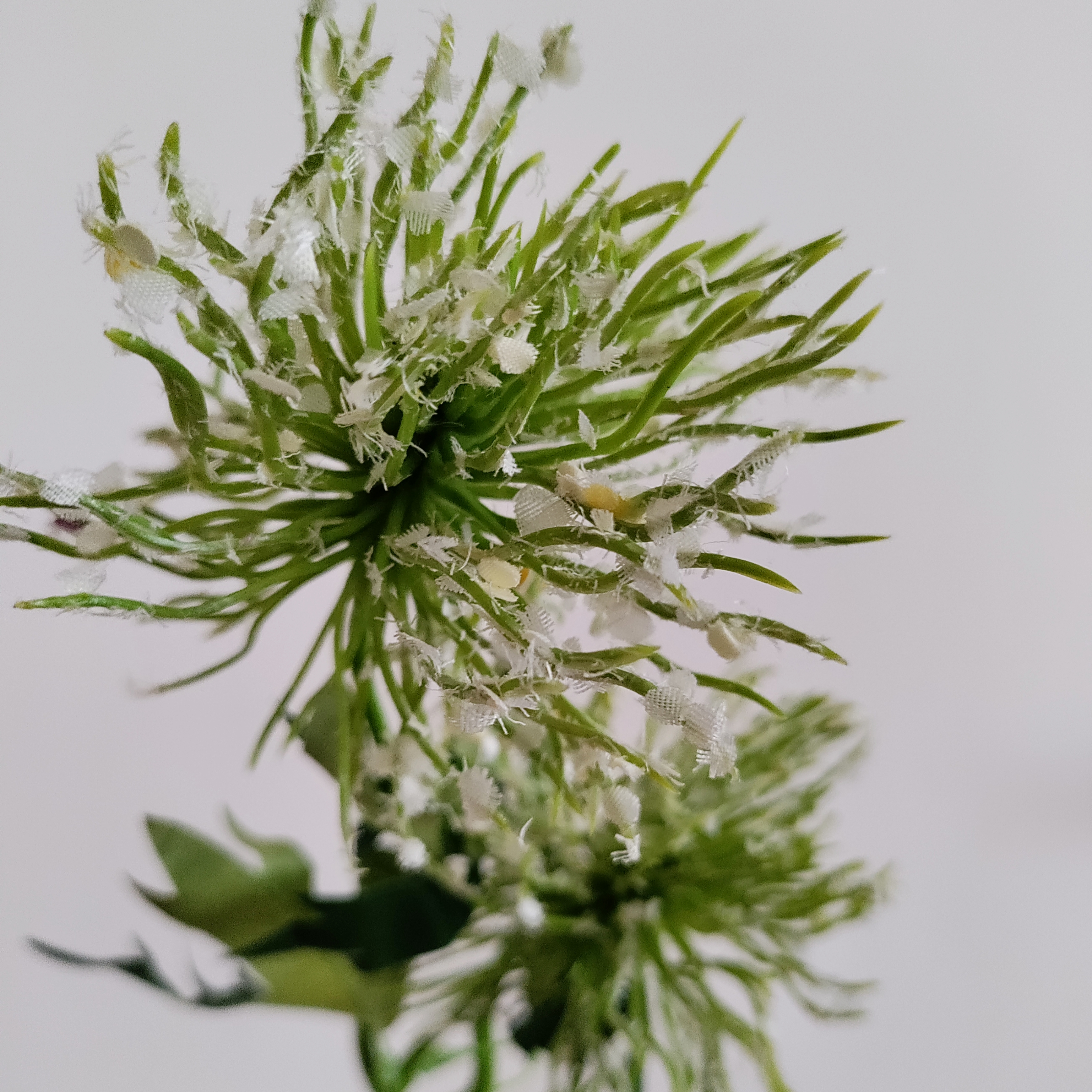 White Praire Puff Artificial Flowers Stems | Single Cluster Stem - alternate view