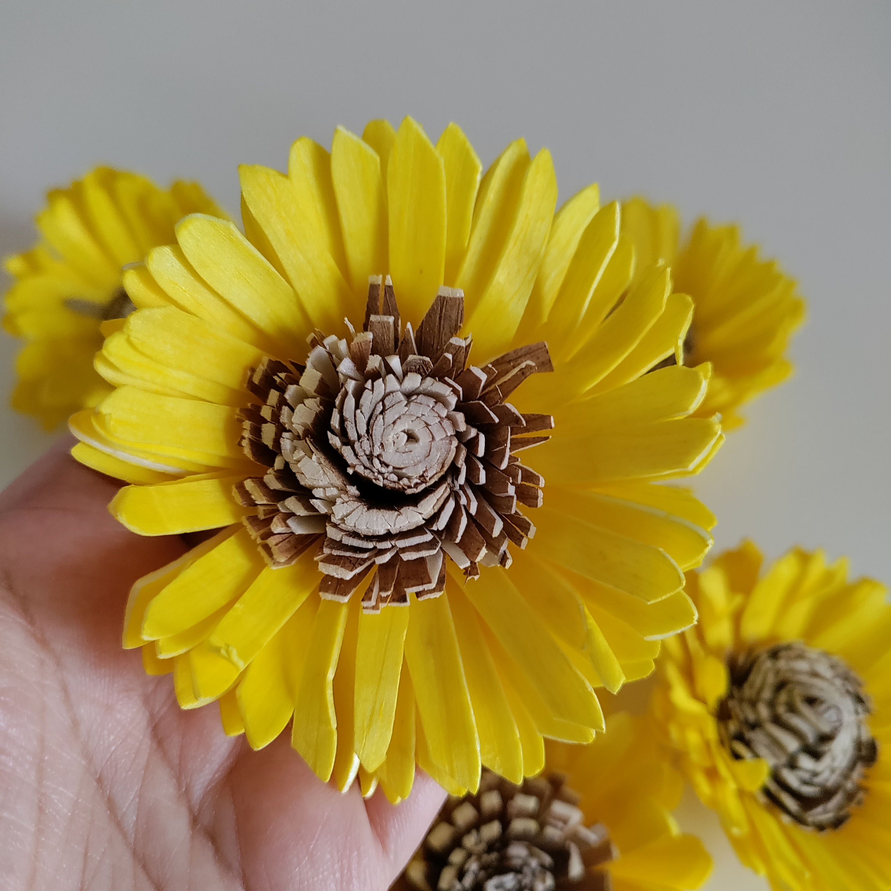 Golden Whisper Dried Flowers Bunch | Wire Stem Included | Green Ruscus Leaves, 3 Flowers | Artificial Flowers thumbnail 4