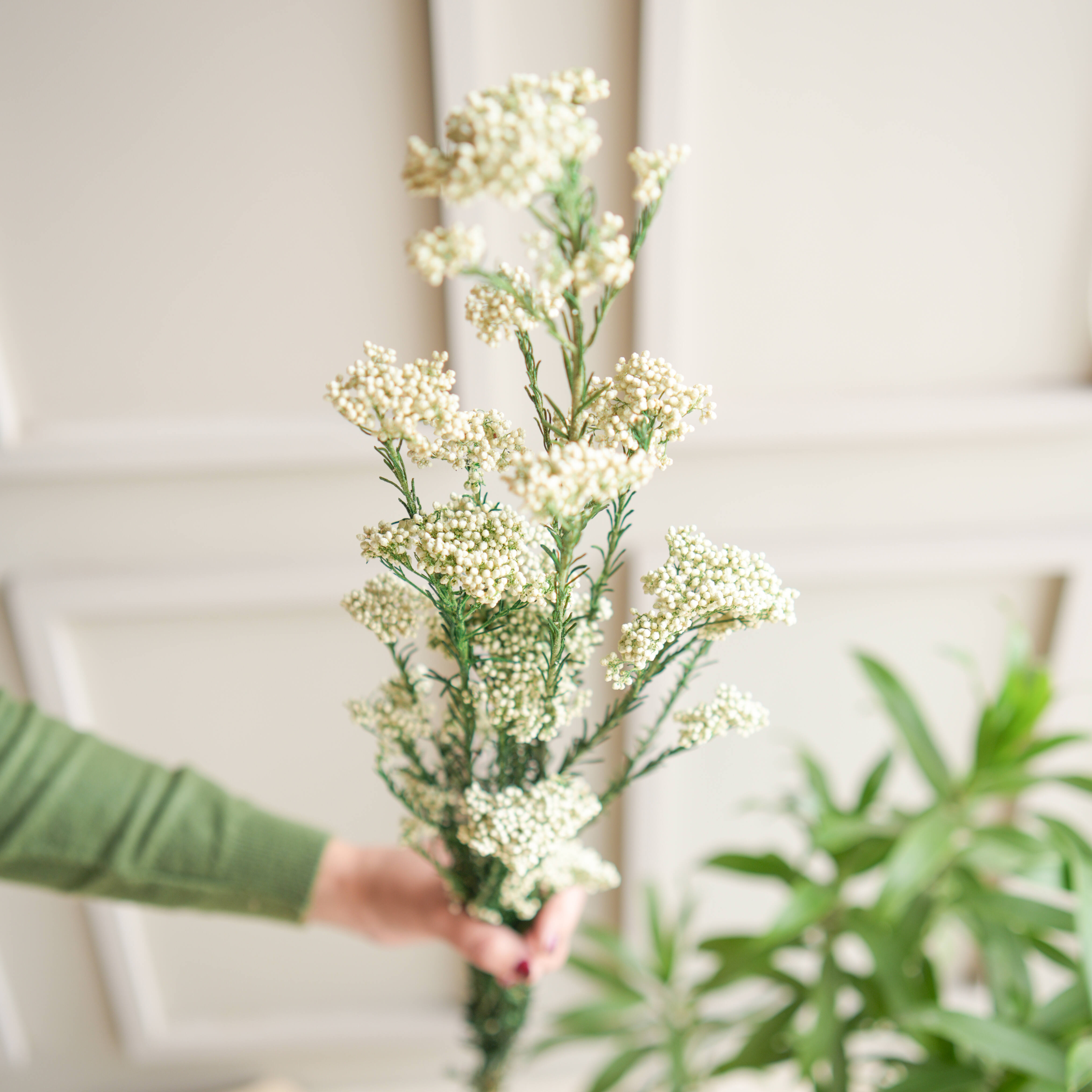 Rice Flower